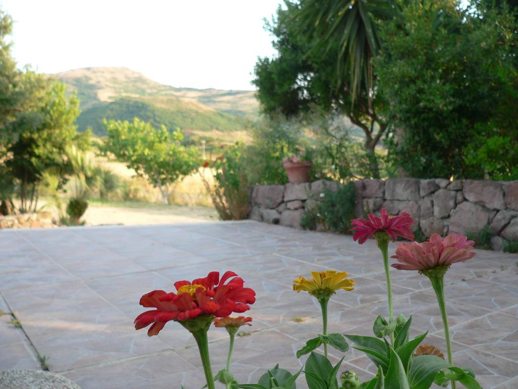 Agriturismo Sa Tanca Noa Tergu Exterior foto