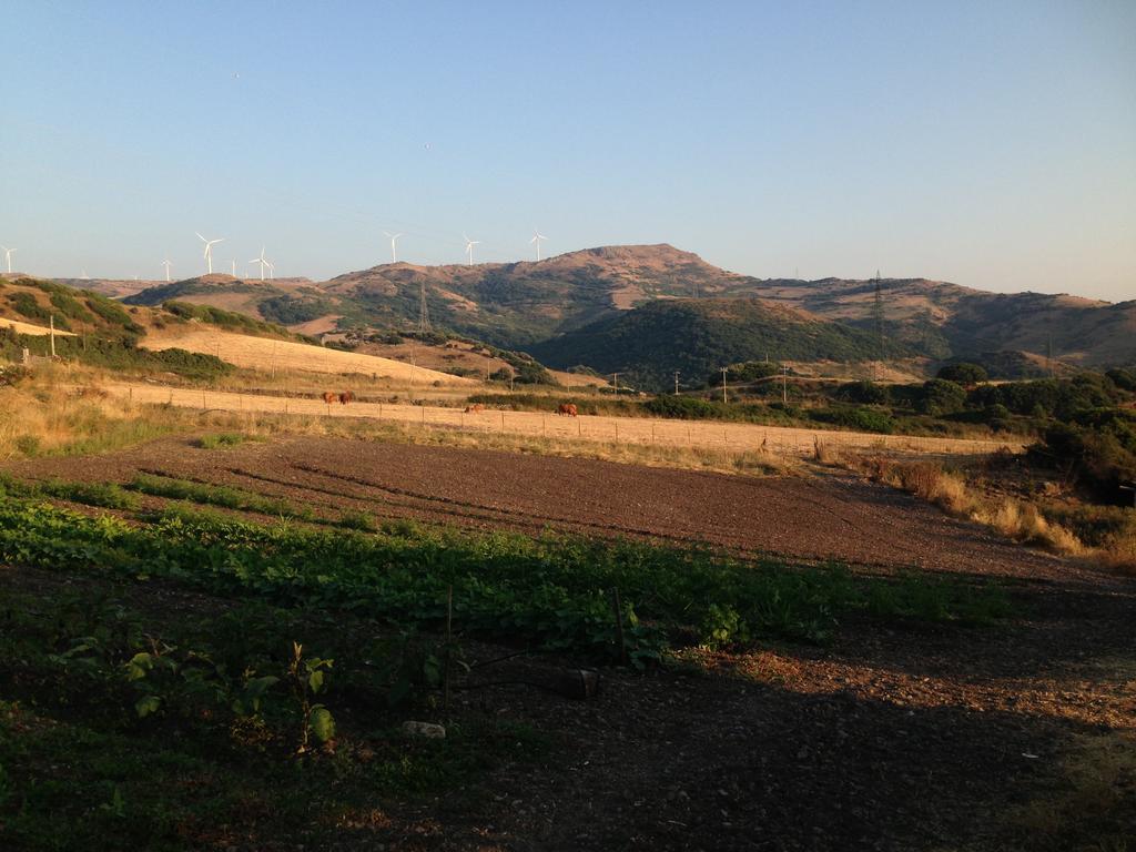 Agriturismo Sa Tanca Noa Tergu Exterior foto